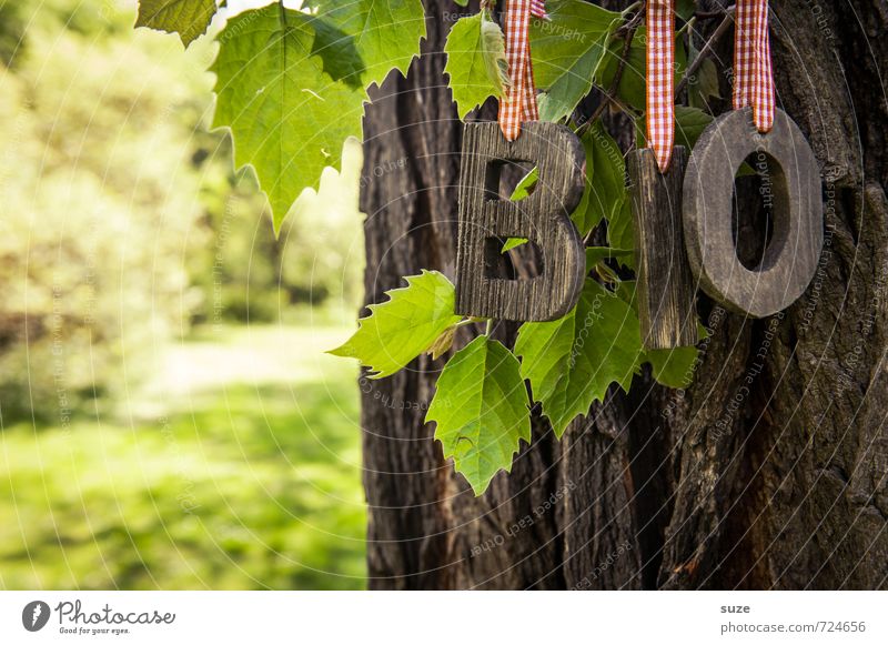 BiO Baum Lebensmittel Ernährung Picknick Bioprodukte Vegetarische Ernährung Lifestyle Gesunde Ernährung Freizeit & Hobby Umwelt Natur Frühling Wiese authentisch