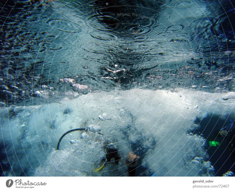 Platsch! springen Taucher Meer kalt Erfrischung tauchen Wasser blasen bubbles Unterwasseraufnahme