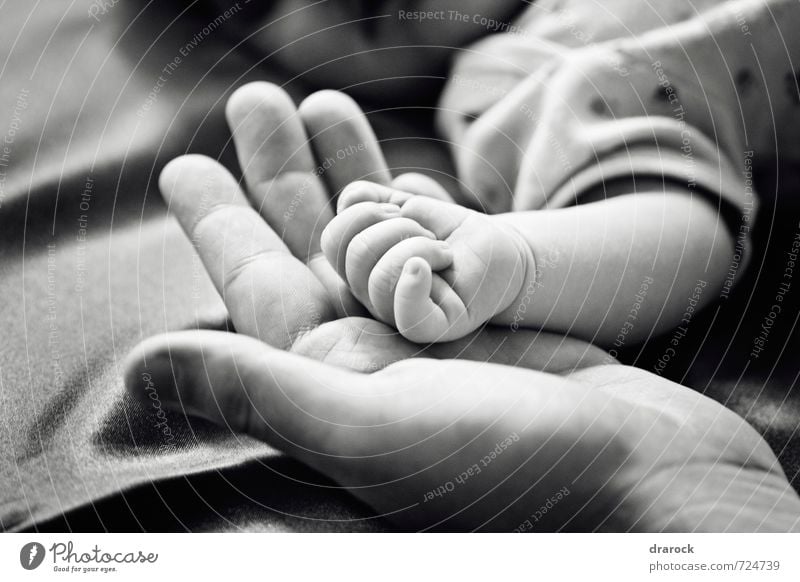 Kleines Baby Hand über seinen liebenden Vater. Konzept der Liebe und Familie. maskulin Erwachsene Kindheit Finger 2 Mensch 0-12 Monate schön Zusammensein