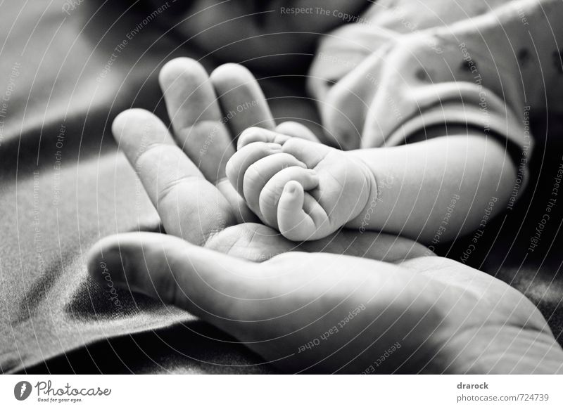 Little thing maskulin Baby Vater Erwachsene Kindheit Hand Finger 2 Mensch 0-12 Monate schön Zusammensein Liebe Kontakt Drarock Schwarzweißfoto Detailaufnahme