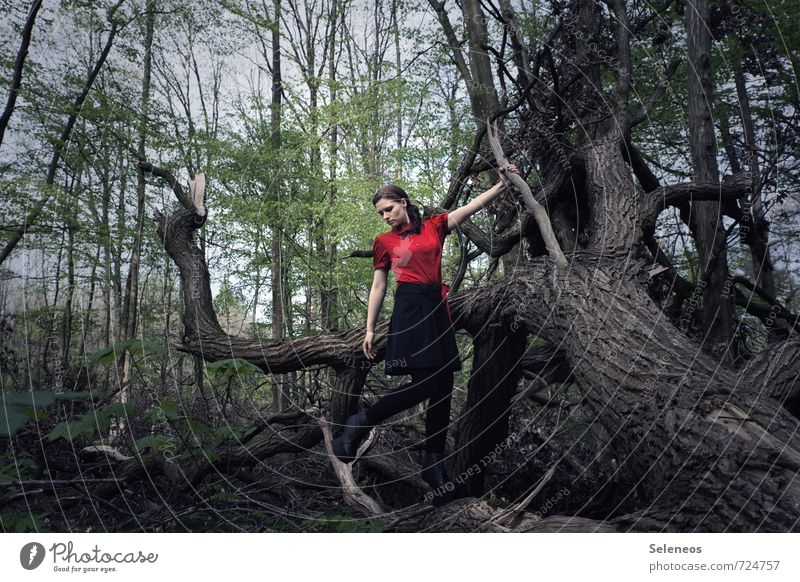 dranhängen Ausflug Abenteuer Sommer Sonne Mensch feminin Frau Erwachsene 1 18-30 Jahre Jugendliche Umwelt Natur Pflanze Baum Wald Mode Bekleidung Schuhe