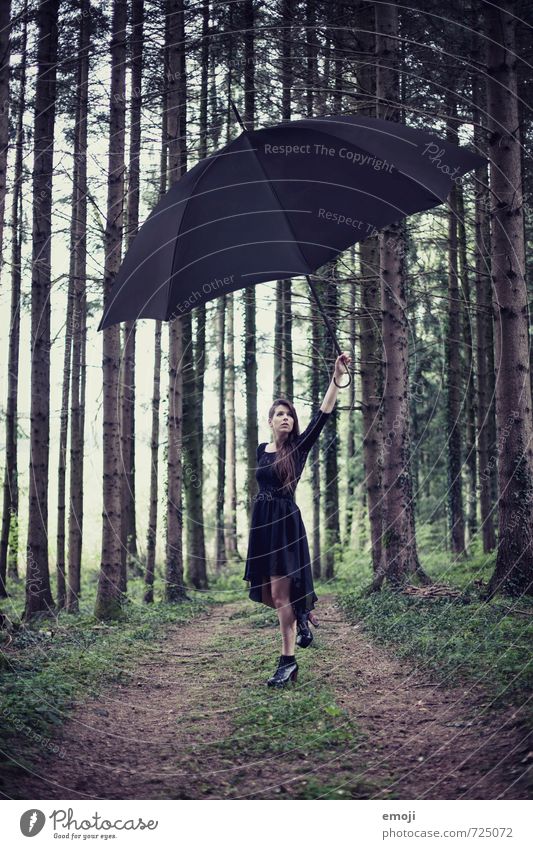 surreal / 2200 feminin Junge Frau Jugendliche 1 Mensch 18-30 Jahre Erwachsene Natur Wald außergewöhnlich dunkel Regenschirm Surrealismus Farbfoto Außenaufnahme