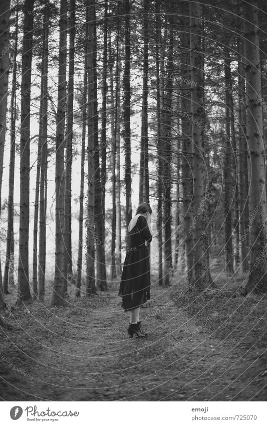 in the woods feminin Junge Frau Jugendliche 1 Mensch 18-30 Jahre Erwachsene Umwelt Natur Landschaft Wald dunkel gruselig Einsamkeit einzeln Schwarzweißfoto