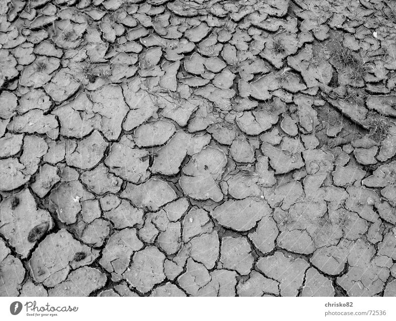 Fettcreme gefällig? Riss trocken grau Asphalt Erde Wüste