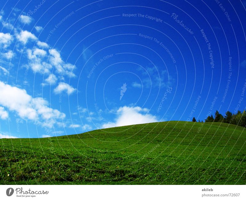 Teletubbies Wiese Gras grün Wolken ruhig Hintergrundbild Geborgenheit Erholung Außenaufnahme Natur blau Himmel Rasen Weide Wärme Fantasygeschichte