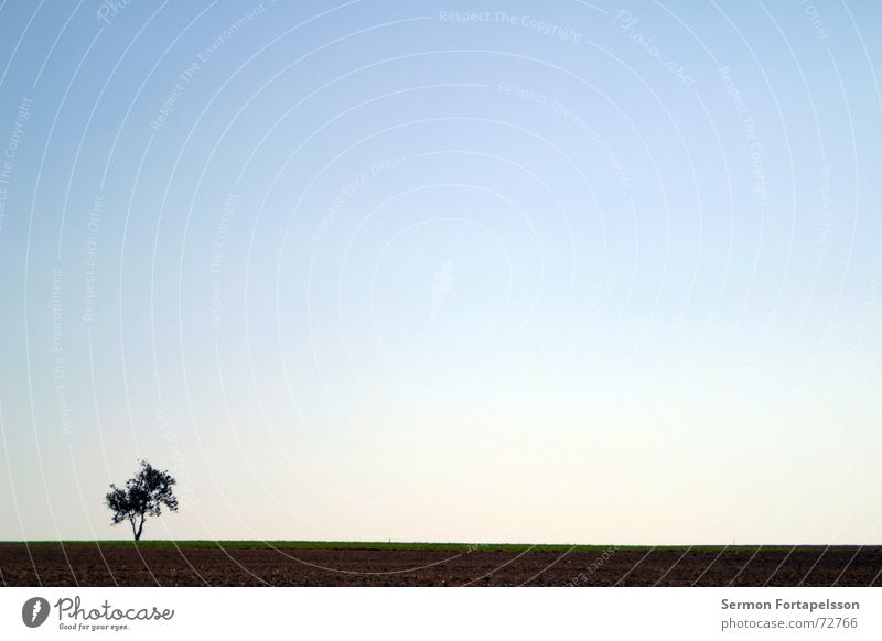 O---| Baum Wolken Feld Sommer Nachmittag Samstag Einsamkeit Landwirtschaft Wiese flach einzeln Horizont Himmel Wind Silhouette Skyline Amerika Ast Provinz