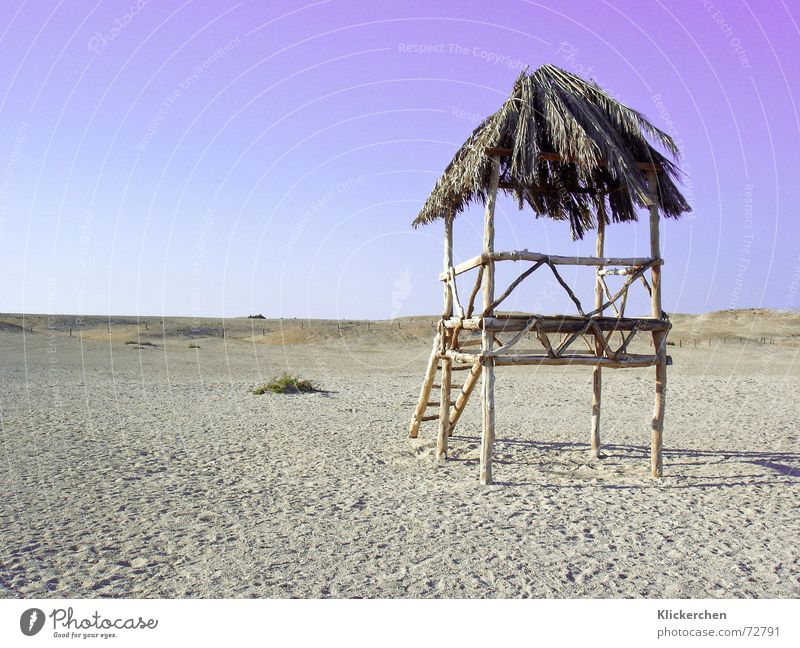 Paradise Island Einsamkeit ruhig Ferien & Urlaub & Reisen Strand Meer träumen Gedanke Traumstrand Sandstrand genießen Außenaufnahme Paradies Natur Insel Frieden