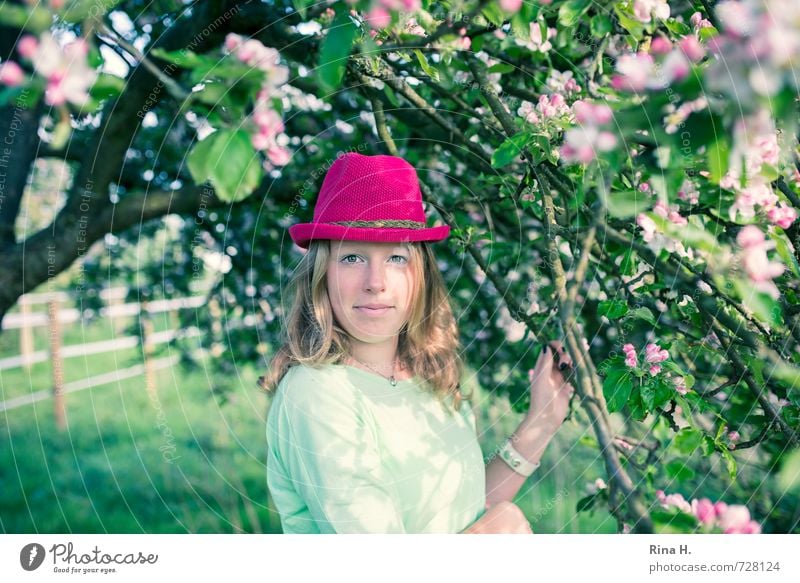 Pink II Mädchen Junge Frau Jugendliche Leben 1 Mensch 13-18 Jahre Kind Frühling Schönes Wetter Baum T-Shirt Hut blond langhaarig Blühend Lächeln stehen trendy