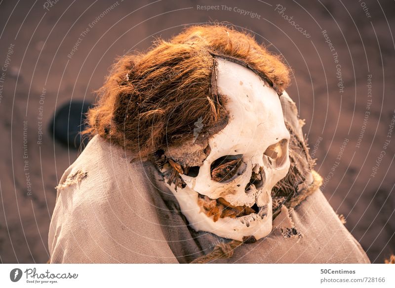 Der Totenkopf Kopf Skelett 60 und älter Senior Haare & Frisuren brünett blond langhaarig alt Zeit Zukunft Farbfoto Außenaufnahme Blick nach unten