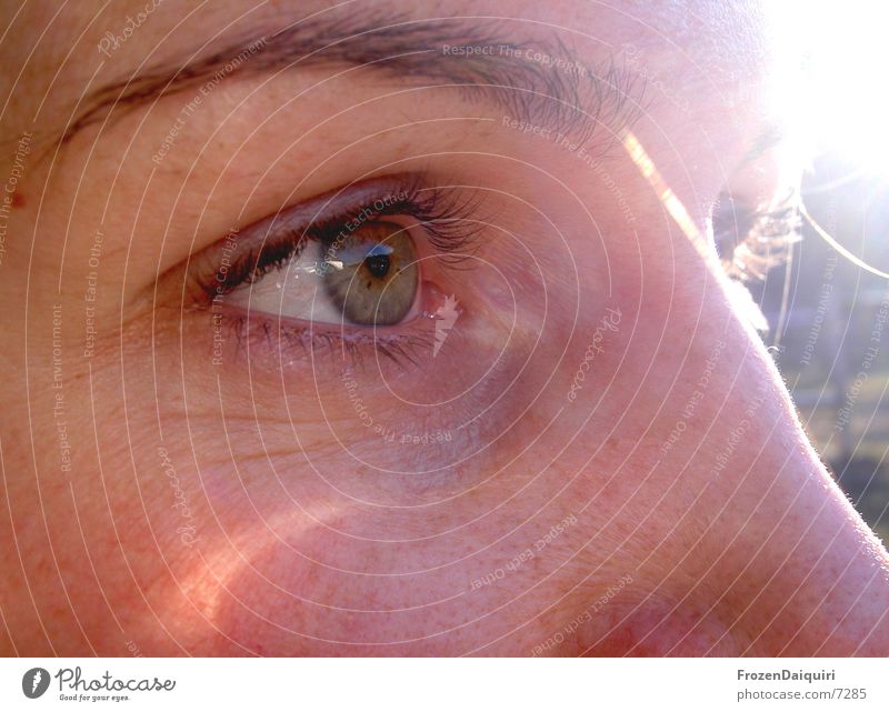 Augenblitz Augenbraue Makroaufnahme Herbst Wimpern Frau Gesicht Nase Sonne hell reflektion Nahaufnahme Regenbogenhaut Blick