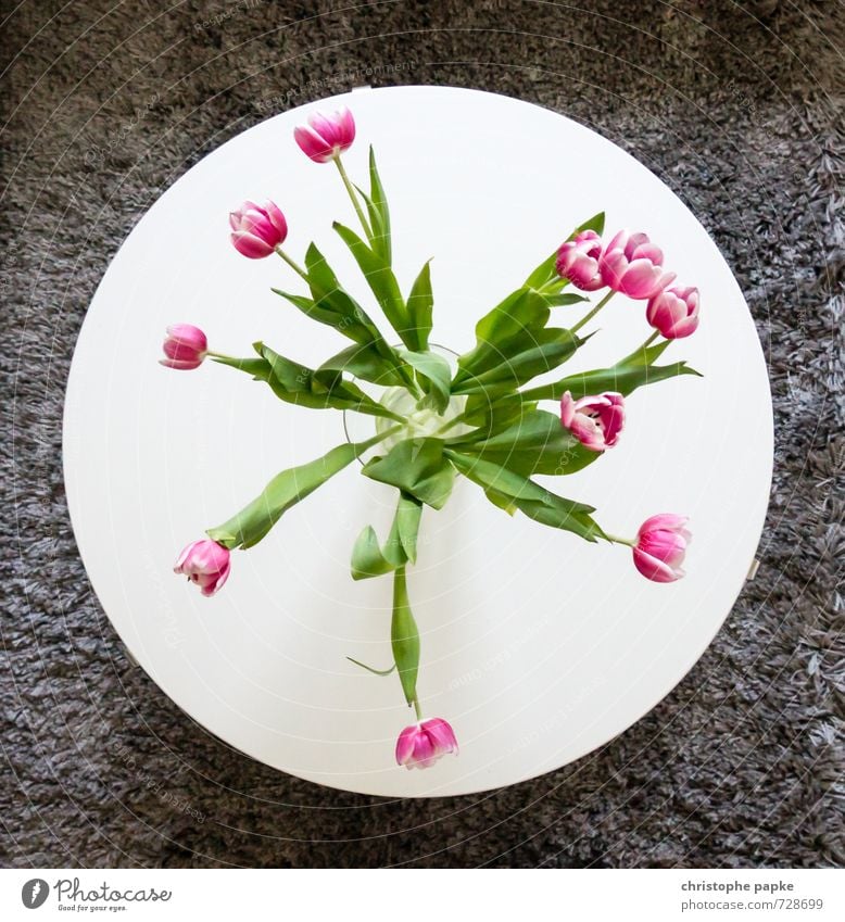 Tulpentisch Häusliches Leben Wohnung Innenarchitektur Dekoration & Verzierung Möbel Tisch Wohnzimmer Frühling Blume Blühend Blumenvase rund Blumenstrauß