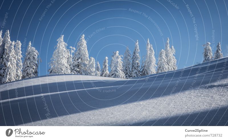 Schneewelle Natur Himmel Wolkenloser Himmel Winter Schönes Wetter Eis Frost Baum Wald Berge u. Gebirge ästhetisch Zufriedenheit Wellen Schneelandschaft Farbfoto