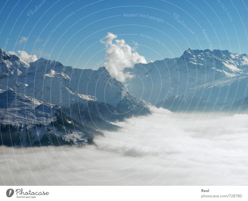 Ein Meer aus Nebel Wintersport Umwelt Natur Landschaft Wolkenloser Himmel Horizont Schönes Wetter Berge u. Gebirge Alpen Skigebiet Gipfel Schneebedeckte Gipfel