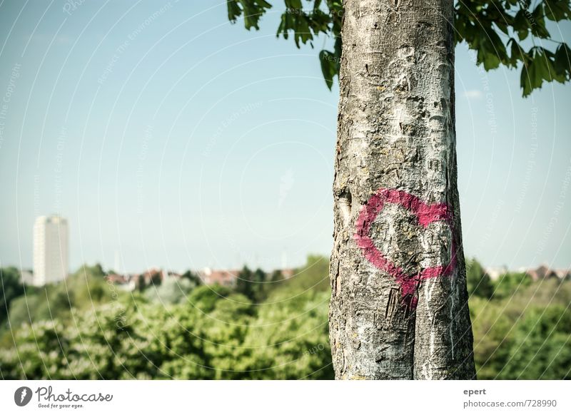 Vor Stadt Liebe Jugendkultur Graffiti Himmel Frühling Pflanze Baum Baumstamm Garten Park Wald Zeichen Herz einzigartig Glück Lebensfreude Frühlingsgefühle