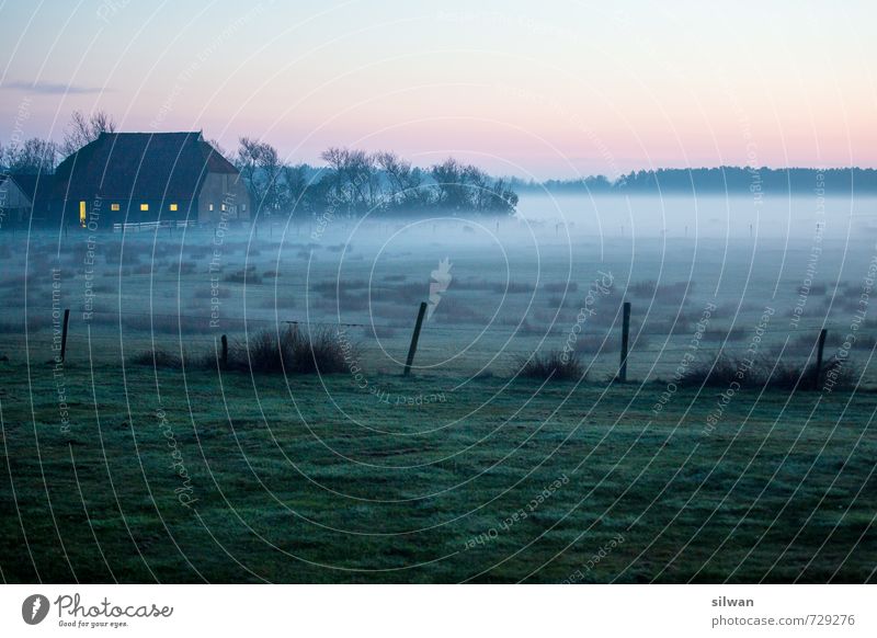 foggy farm Landschaft Frühling Schönes Wetter Nebel Sträucher Moos Feld bedrohlich gruselig kalt ruhig träumen Einsamkeit Bauernhof Haus Zaun Zaunpfahl