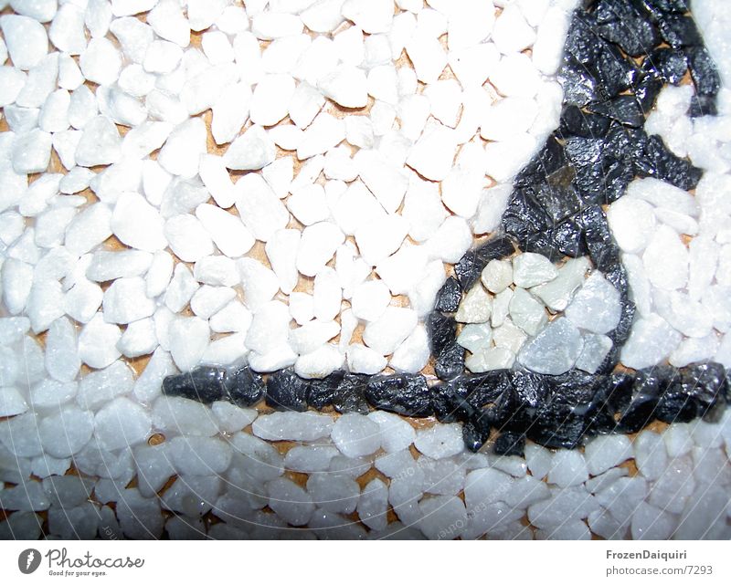 Kieselsteinbild/weiß Kieselsteine Mosaik Makroaufnahme schwarz grau Häusliches Leben Bild Nahaufnahme