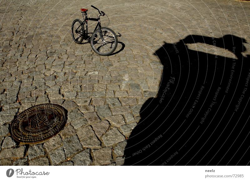 Gut gebrüllt...01 Fahrrad Gully Löwe Braunschweig Schatten Kopfsteinpflaster Strukturen & Formen Schönes Wetter