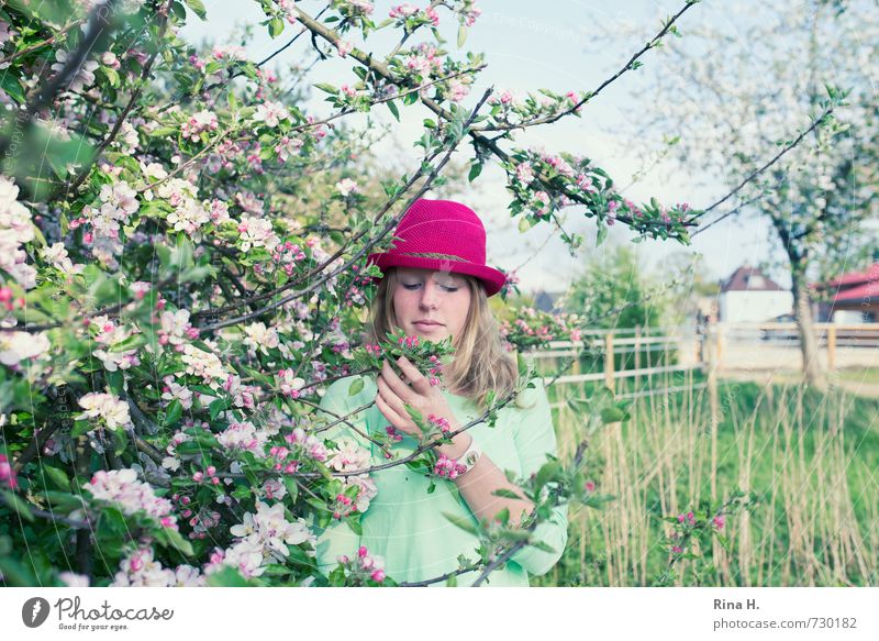 Pink Mädchen Jugendliche Leben 1 Mensch 13-18 Jahre Kind Natur Landschaft Frühling Schönes Wetter Baum Gras Blüte Garten Wiese T-Shirt Hut blond langhaarig