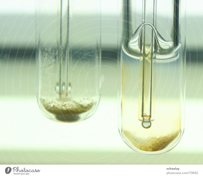 new life Experiment Licht Hintergrundbeleuchtung Kohlendioxid Biologie Algen Reifezeit Leben klinisch Geburt Wissenschaften Genforschung Reagenzglas
