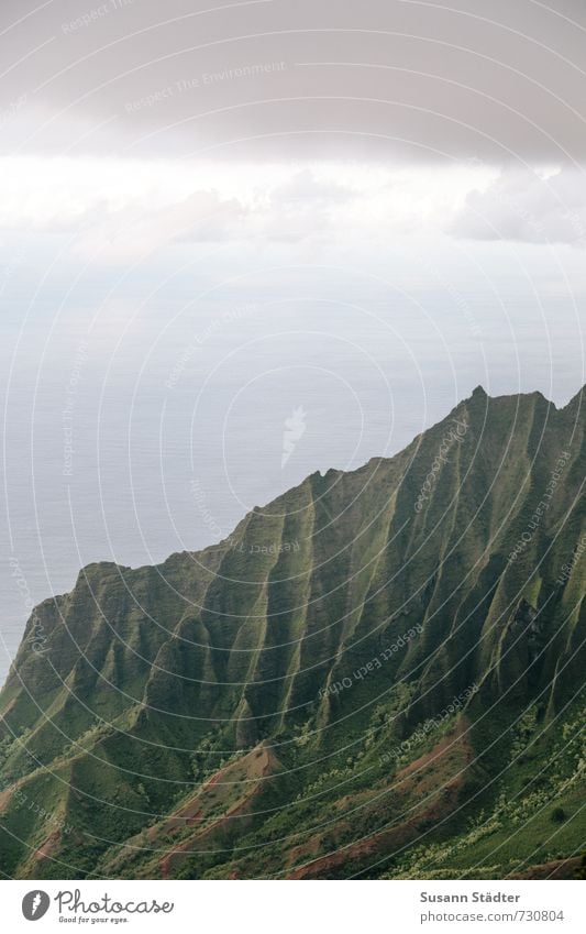 Na Pali Coast State Park Natur Landschaft Sommer Gras Felsen Berge u. Gebirge Schlucht Meer Bekanntheit Na Pali Küste Hawaii Kauai Falte unberührt Farbfoto
