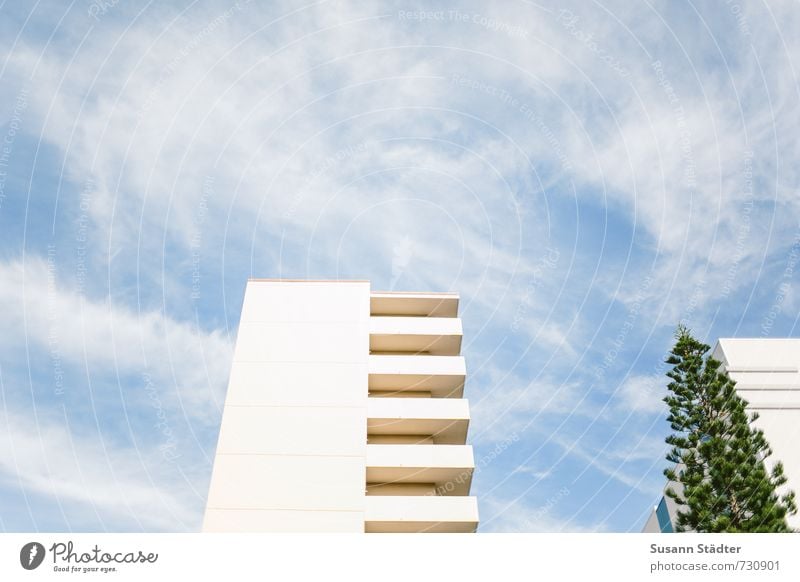 Hi Pinie! Baum Wohnhaus Hawaii Honolulu Mehrfamilienhaus Balkon gleich Wolken