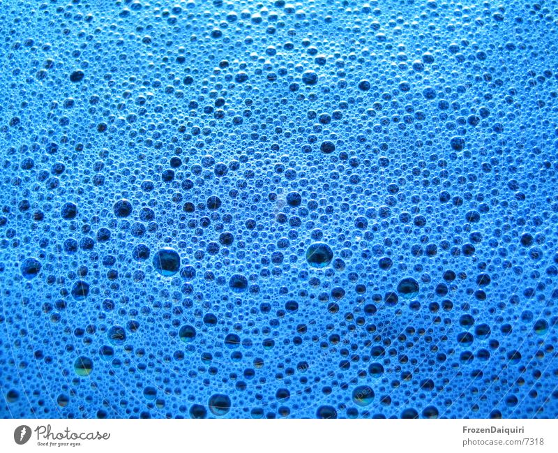Teppichfärben #2 schwarz Makroaufnahme Schaum Muster Nahaufnahme blau blasen Blase blue black foam scum small blister vesicles pattern