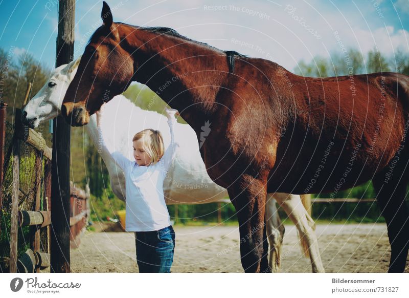 aiming high Ferien & Urlaub & Reisen Ausflug Sommerurlaub Reitsport Mensch feminin Kind Mädchen 1 3-8 Jahre Kindheit Tier Nutztier Pferd 2 berühren Erholung