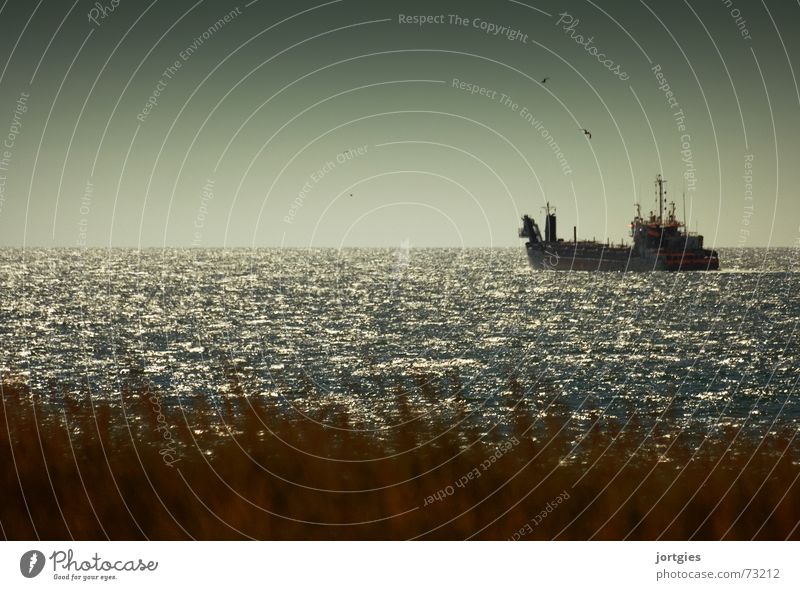 In wichtiger Mission Wasserfahrzeug Meer Küste Nordsee Möwe Strand Erdöl Ölpest Ölbeseitigung