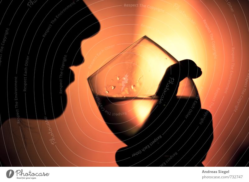 Santé Lebensmittel Getränk trinken Wein Glas Weinglas Lifestyle Stil Nachtleben Veranstaltung Restaurant Bar Cocktailbar ausgehen Feste & Feiern Mensch Gesicht