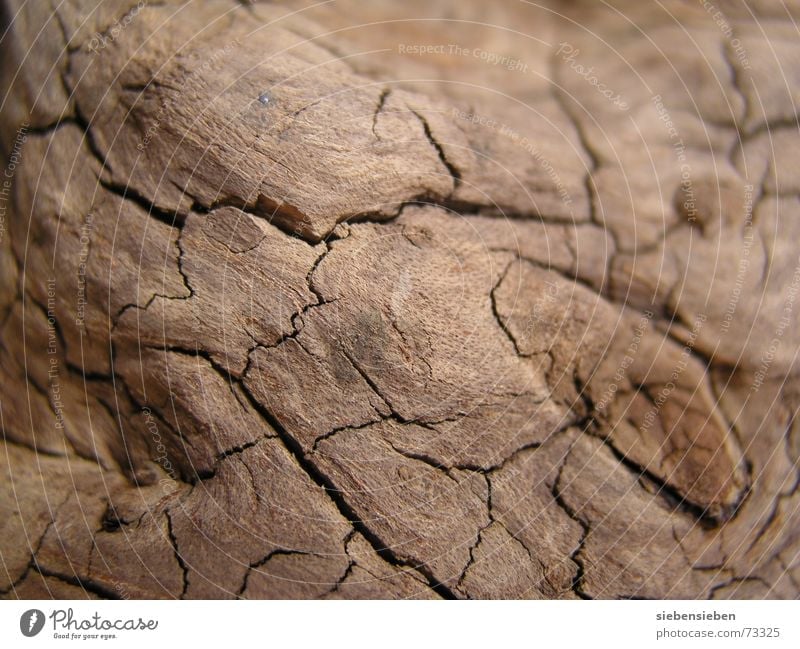 Einfache Struktur verwaschen fortgeschritten alt verwandeln morsch mürbe Riss Wurzelholz trocken Holz Vergänglichkeit Oberfläche Hintergrundbild Fundament Baum