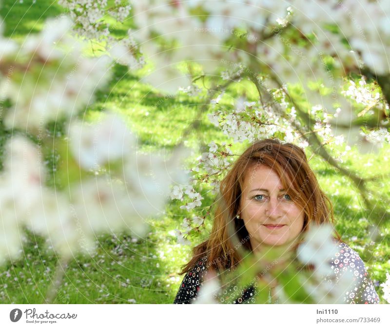 AST 7 | Kirschblütenbitti I Mensch feminin Junge Frau Jugendliche Kopf Haare & Frisuren Gesicht Auge Nase Mund Lippen 1 Sonne Frühling Baum Blüte Kirschbaum