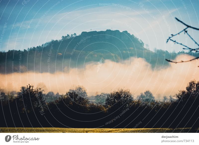 Nebelberg im Hintergrund. Vorne Wolken, Bäume und Sonnenlicht und eine Wiese. Wohlgefühl ruhig Ferien & Urlaub & Reisen wandern Landschaft Wetter