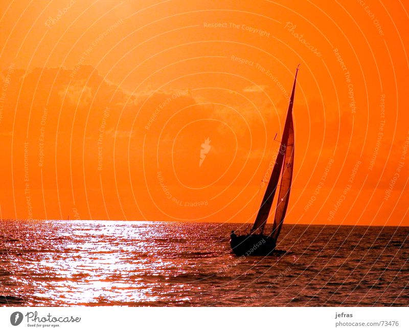 sailing to the sunset Himmel Sommer Sonnenuntergang boat cruise Strommast ocean orange sea ship sky