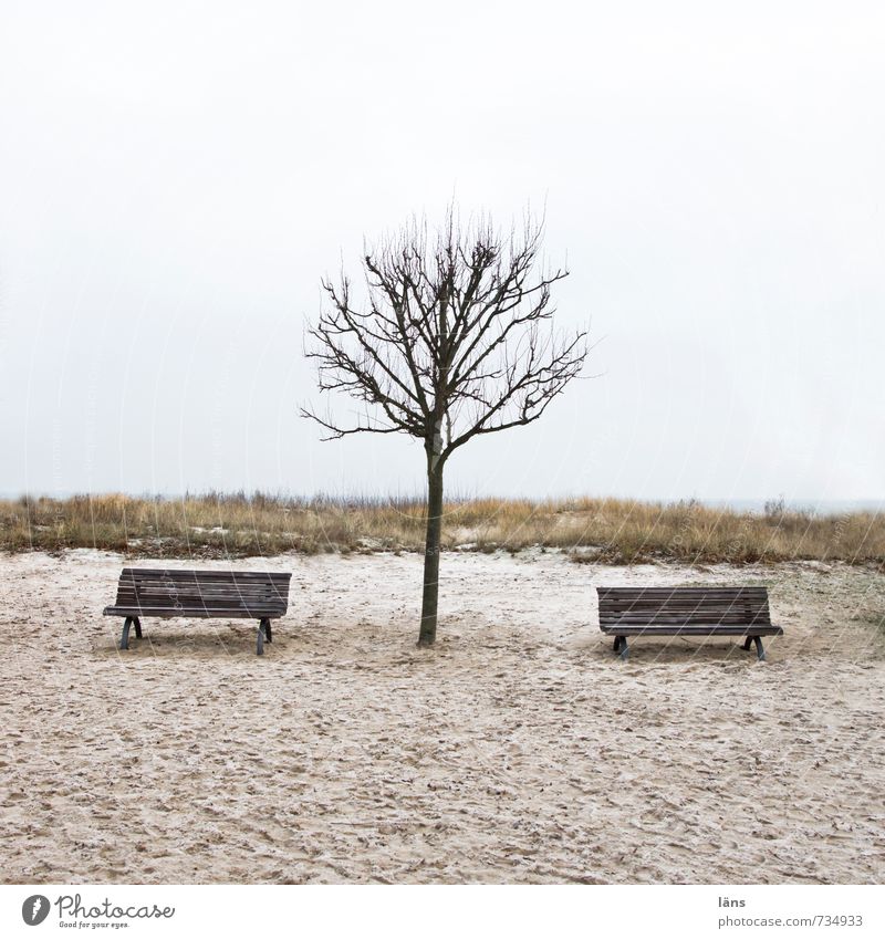Sandbänke ruhig Strand Umwelt Natur Landschaft Erde Himmel Herbst Winter Baum Ostsee Langeweile Sehnsucht Einsamkeit Zufriedenheit Erwartung Freizeit & Hobby