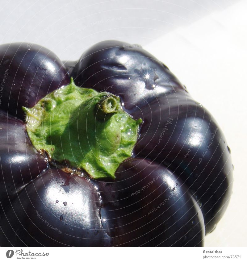 Nachtschattengewächs 1 Paprika Ernährung Gesundheit Vitamin frisch lecker schwarz violett gestaltbar Gemüse Lebensmittel