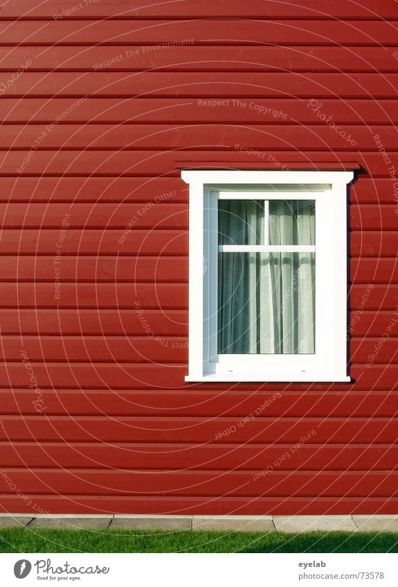 Schwedenschick Fenster Sauberkeit weiß grün rot Haus Holz Holzmehl Gebäude Wand Gardine sweden window clean Rasen grass white red building Garten garden curtain