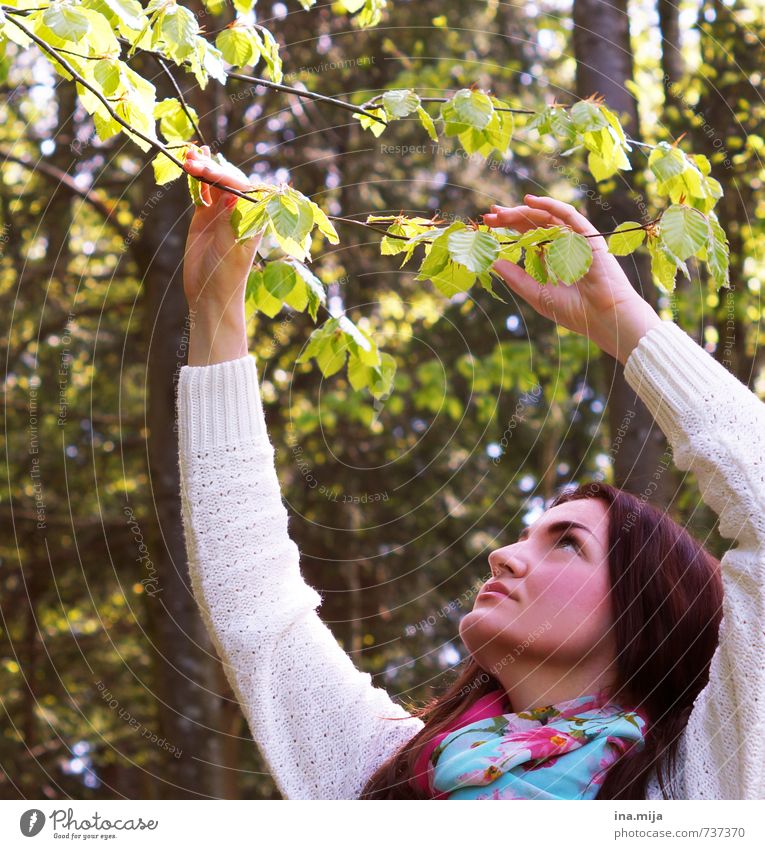 junge dunkelhaarige Frau berührt einen Ast im Wald Mensch feminin Junge Frau Jugendliche Erwachsene 1 18-30 Jahre Umwelt Natur Landschaft Pflanze Frühling