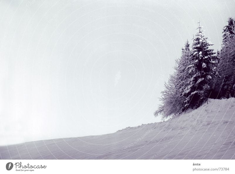 hörst du die stille? Klirren kühlen Winter Tanne Schnee kalt ruhig Eis frisch wandern Wald Hügel Baum analog Himmel Nadelwald Gelassenheit Schwarzweißfoto