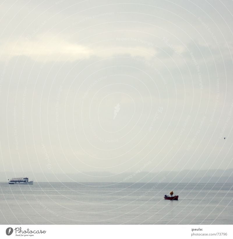 Gardasee Idylle Italien Fischerboot Möwe Vogel grau Morgen Fähre Horizont ruhig Wasser Morgendämmerung Himmel Küste