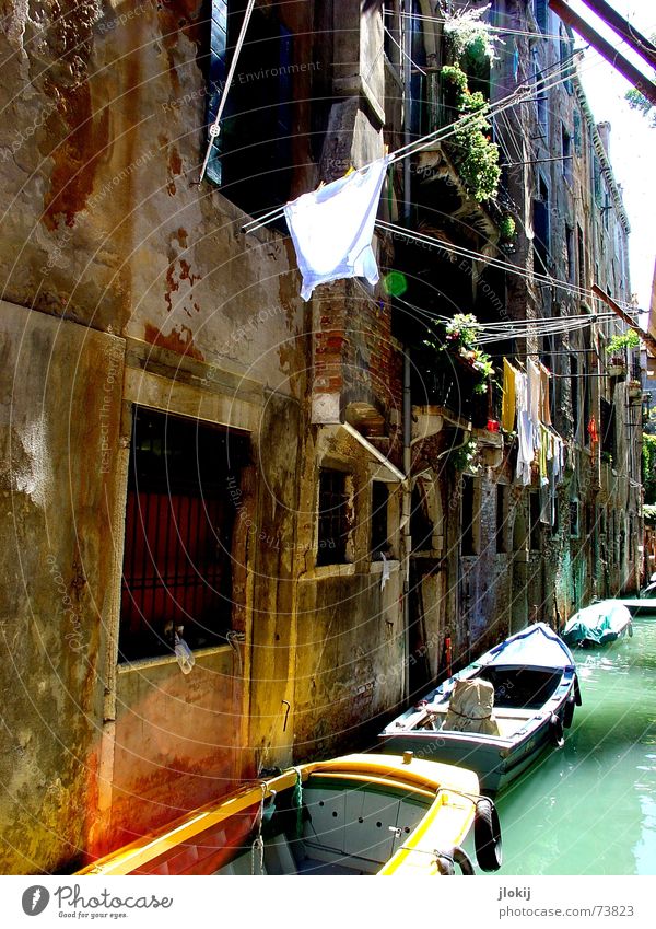 canale Venedig Italien Europa Wasserfahrzeug Sonnenlicht grün Mauer Haus Wasserstraße Hemd Spaziergang träumen Ferien & Urlaub & Reisen Stadt fahren Tourist