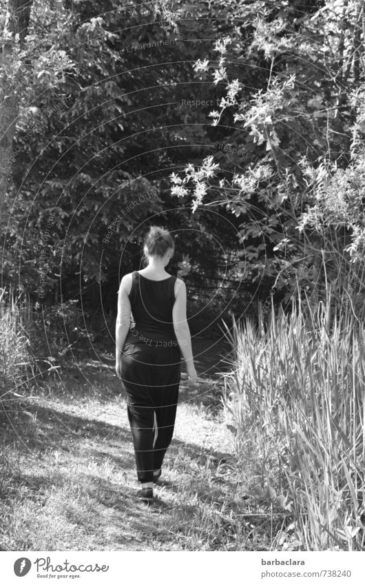 I'm walking feminin Frau Erwachsene 1 Mensch Natur Landschaft Sommer Sträucher Park Wald Seeufer gehen Stimmung achtsam ruhig Erholung Sinnesorgane Wege & Pfade