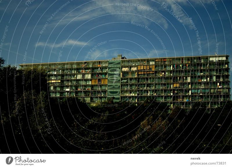 modernes Wohnen Plattenbau Gewächshaus Amsterdam Häusliches Leben mehr blick beruhigende wohnlage Architektur
