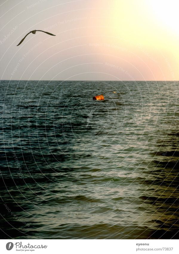 schwarzes Meer Bulgarien Schwarzes Meer Möwe Licht Boje Sonnenaufgang Sonnenuntergang Morgen Ferne Reflexion & Spiegelung Schifffahrt Wasser water light