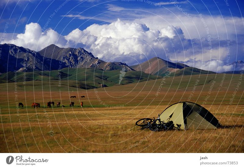 Zeltplatz am Song Kol (3000m, Kirgisien) grün Fahrrad braun Wiese gelb Wolken Kumulus Hochebene ruhig Außenaufnahme Berge u. Gebirge kuppelzelt Himmel Freiheit
