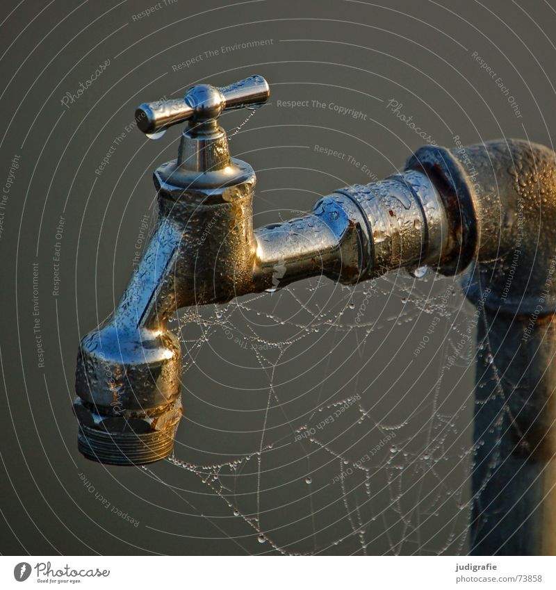 Wasserhahn nass Spinnennetz Spinngewebe Wassertropfen Tau Morgen feucht Nebel Anschluss glänzend Metall gelehrt Steg Drehgewinde Eisenrohr