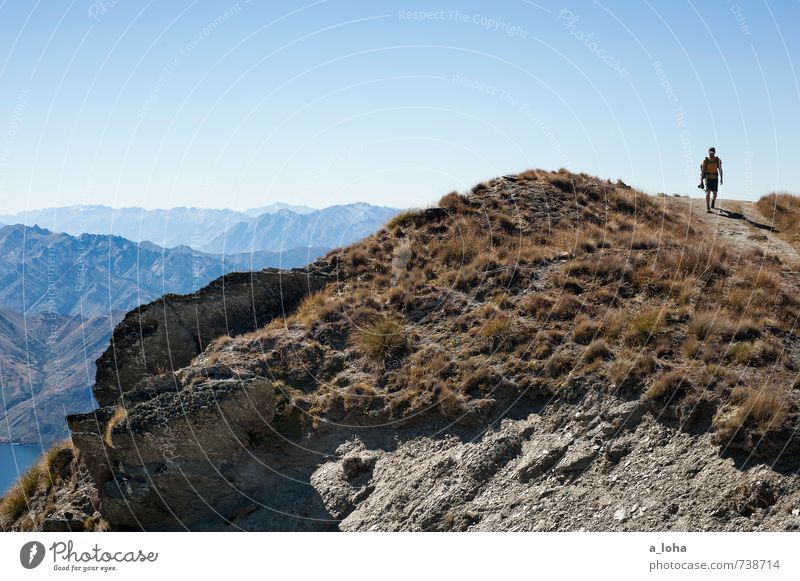 unterwegs Ausflug Abenteuer Ferne maskulin Mann Erwachsene Natur Landschaft Urelemente Erde Wolkenloser Himmel Herbst Klima Schönes Wetter Gras Felsen Alpen