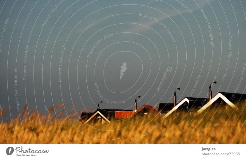 Versteckspiel Haus Dach Schornstein Gras Halm Getreide Kornfeld verstecken Skandinavien Dänemark Abend Strand Küste
