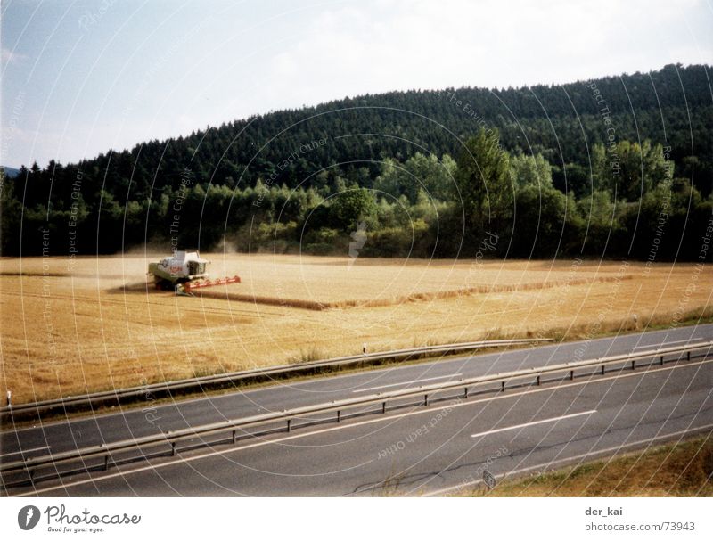 Montana Roggen Weizen Feld Wald Baum Jahr Korn dreschmäher dresche kloppe Straße auto (kommt gleich) Himmel dental floss Lomografie keine kornbilder mehr dieses