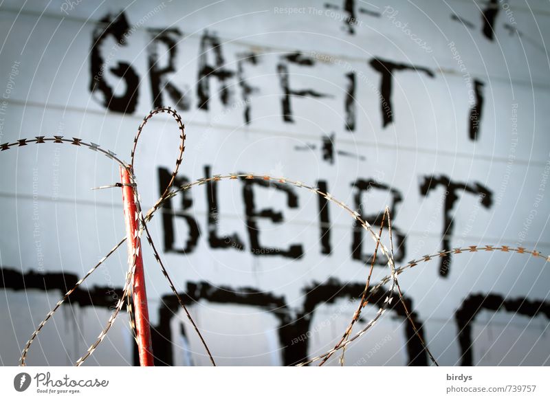 auf jeden Fall Kunst Jugendkultur Subkultur Graffiti Mauer Wand Fassade Stacheldrahtzaun authentisch außergewöhnlich bedrohlich rebellisch Begeisterung