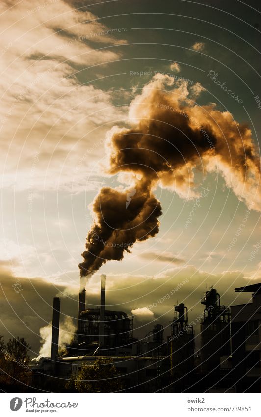 Kettenraucher Technik & Technologie Industrie Schornstein Abgas Umwelt Himmel Wolken Klima Fabrik bedrohlich gigantisch gefährlich Umweltverschmutzung